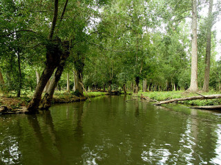 La Rive Gauche