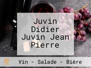 Juvin Didier Juvin Jean Pierre