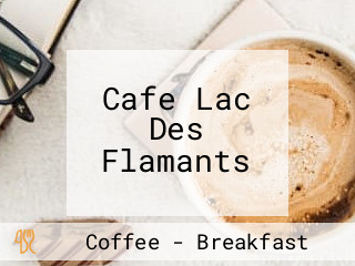 Cafe Lac Des Flamants