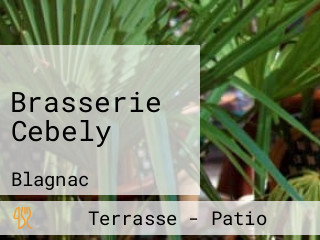 Brasserie Cebely