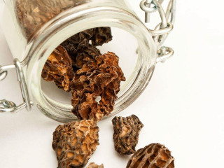 Goldmorels.com