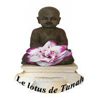 Le Lotus De Tanah