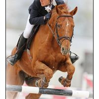 La Cantine De L'hippodrome