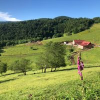 Ferme Auberge Du Kohlschlag