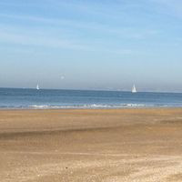 Le Marche Aux Poissons de Trouville