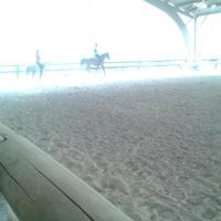 Poney Club De Cabourg